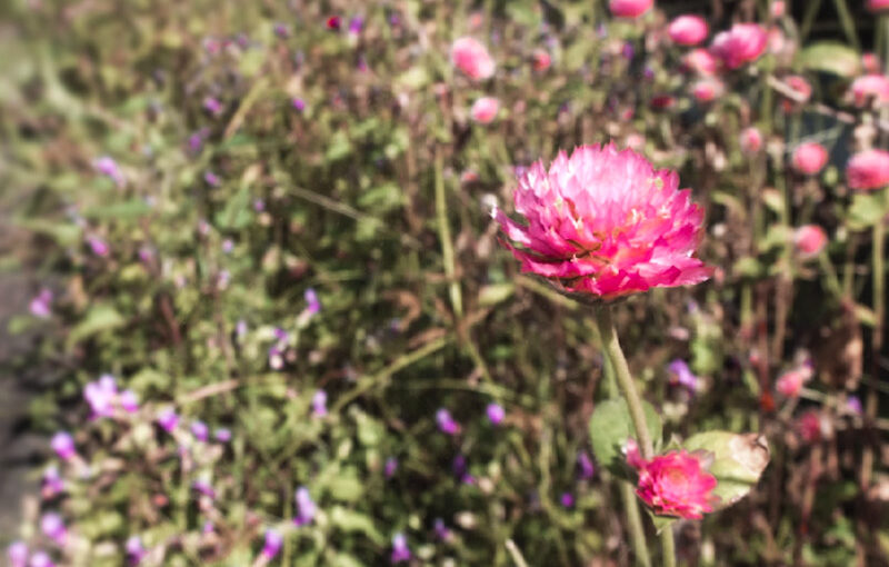 もう10月